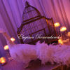 Bird Cage Cardbox