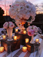 Wooden Centerpiece Box Trio