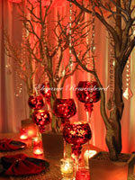 48" Manzanita Tree